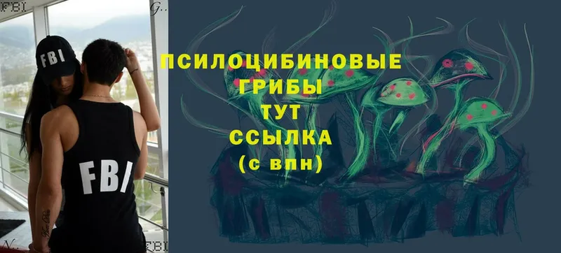 Галлюциногенные грибы Psilocybine cubensis  цены   Карабаново 